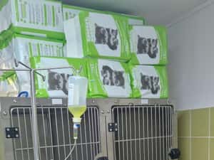 Joyvet - Cabinet Veterinar Sector 3 — miniatura 4