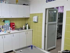 Joyvet - Cabinet Veterinar Sector 3 — miniatura 5