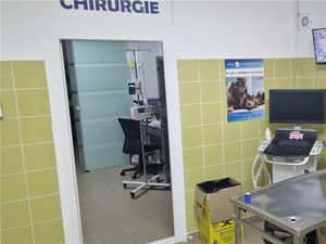 Joyvet - Cabinet Veterinar Sector 3 — miniatura 6
