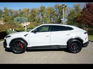 2019 Lamborghini Urus V8 650 CP CARBON B&O PANO MASAJ — miniatura 5
