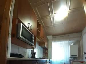Apartament cu 2 camere - zona Nicolina - Selgros - Pet Friendly — miniatura 4