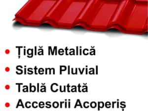 Acoperisuri dulgherie tablă — miniatura 7