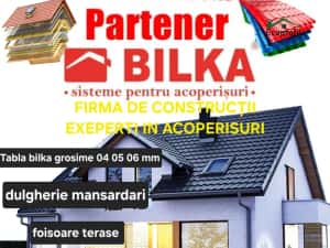 Acoperisuri dulgherie tablă — miniatura 9