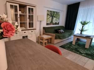 Apartament 3 camere cu gradina - Aviatiei - Baneasa — miniatura 4
