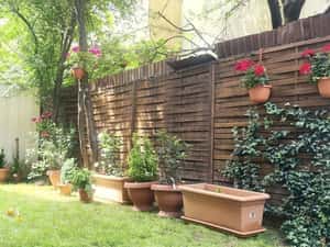 Apartament 3 camere cu gradina - Aviatiei - Baneasa — miniatura 6