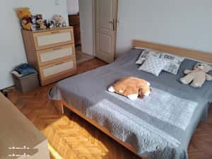 Apartament 2 camere zona Centrala