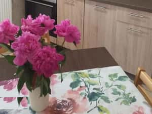 Apartament 2 camere decomandate,  Intre Lacuri