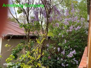 Inchirieri Apartamente 2 camere CARTIERE VALEA OLTULUI — miniatura 4