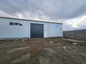 Hale noi depozitare Lugoj diferite dimensiuni 115 mp - 530 mp utili!! — miniatura 8