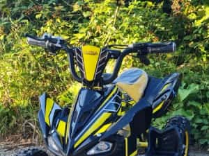 Atv Quad adus Din Germania Ultra 1000w 36v cu 3 viteze reglabile