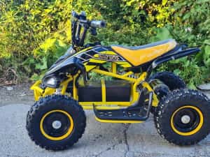 Atv Quad adus Din Germania Ultra 1000w 36v cu 3 viteze reglabile — miniatura 2