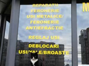 Deblocari usi Constanta — miniatura 2