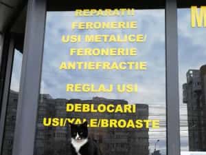 Deblocari usi Constanta — miniatura 7