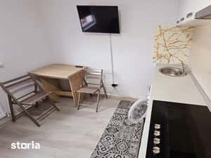Proprietar, camera camin tip garsoniera — miniatura 6