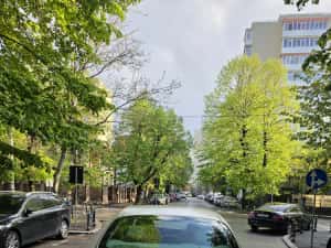 JAGUAR X-TYPE - An 2008 - Proprietar Direct . 2 seturi de Roti — miniatura 5