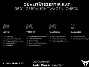 Cupra Terramar Automată 265 HP Benzină — miniatura 4