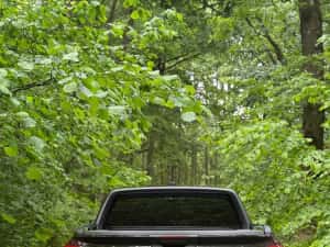 Ford Ranger Raptor 3.0 V6 2025, FULL PPF, predare leasing — miniatura 2