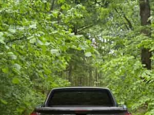 Ford Ranger Raptor 3.0 V6 2025, FULL PPF, predare leasing — miniatura 10