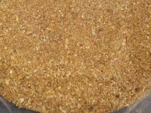 Vindem tarata de grau, srot floarea soarelui, peleti orz, gluten etc. — miniatura 10