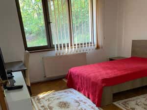 Ap 3 camere disponibil Imediat, zona verde — miniatura 3