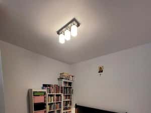 Studio Brancusi Drumul Taberei — miniatura 4