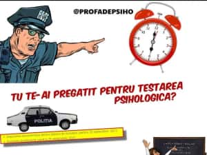 Meditații Testare Psihologică MAI/MAPN/ANP — miniatura 2