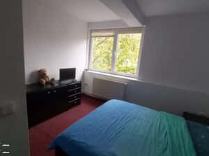 Cameră in vila pentru o persoana – student/ă sau salariat/ă — miniatura 3