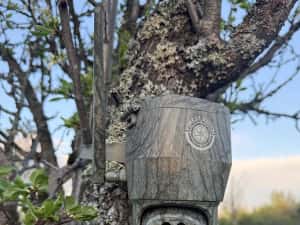 Noua Camera vanatoare rotativa ForestVision Live C2 2026 4G
