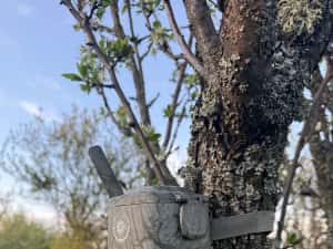 Noua Camera vanatoare rotativa ForestVision Live C2 2026 4G — miniatura 5