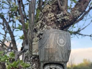Noua Camera vanatoare rotativa ForestVision Live C2 2026 4G — miniatura 8