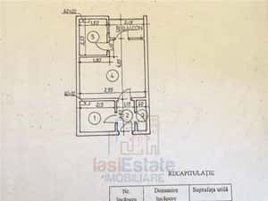 Str Plaiesilor - Alexandru cel Bun — miniatura 5