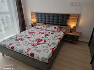 Apartament 2 Camere | Pet Friendly | Loc de parcare | Boxa — miniatura 3