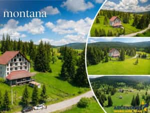 Complex montan 1.124 mp, Toplita Secu, investitie: turistica retreat, cadru valoros