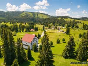Complex montan 1.124 mp, Toplita Secu, investitie: turistica retreat, cadru valoros — miniatura 2