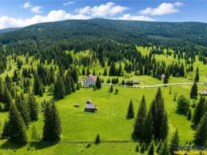Complex montan 1.124 mp, Toplita Secu, investitie: turistica retreat, cadru valoros — miniatura 3