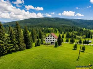 Complex montan 1.124 mp, Toplita Secu, investitie: turistica retreat, cadru valoros — miniatura 5