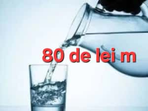 Foraje puturi apă 80 lei m