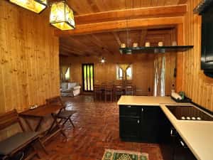 CIUBAR! Cabana Sibiu/casa vacanta/pensiune Sibiu, Valea Avrigului — miniatura 3