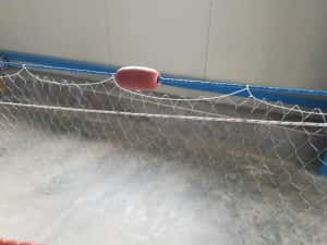 Plase pescuit tip setca /ava - oblete — miniatura 2