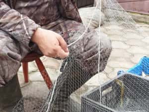 Plase pescuit tip setca /ava - oblete — miniatura 4