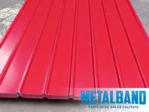 Producator tabla cutata zincata si vopsita CAUTAM COLABORATORI — miniatura 3