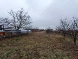 Oferta primavara-Casă cu teren generos 1.305 mp | Curtici – Arad — miniatura 6