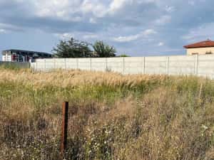 Teren intravilan 600 mp, zona Luceafarului-Stelelor, imprejmuit, Chiajna