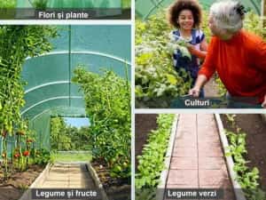 Solar de gradina, sera gradina, multiple dimensiuni, transport gratuit — miniatura 8