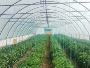 Solarii montabile ușor  pentru legume sau flori  ieftine