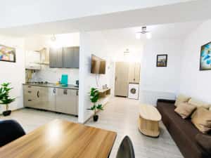 IS Cazare in Apartamente 1-2-3 Cam Regim Hotelier Palas-Newton-Centru — miniatura 3