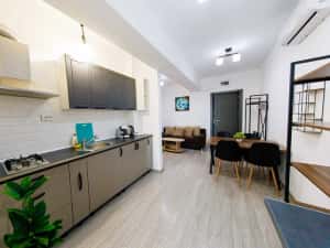 IS Cazare in Apartamente 1-2-3 Cam Regim Hotelier Palas-Newton-Centru — miniatura 4