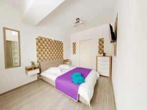 IS Cazare in Apartamente 1-2-3 Cam Regim Hotelier Palas-Newton-Centru — miniatura 6