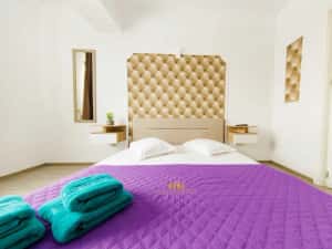IS Cazare in Apartamente 1-2-3 Cam Regim Hotelier Palas-Newton-Centru — miniatura 7