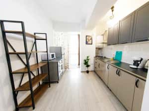 IS Cazare in Apartamente 1-2-3 Cam Regim Hotelier Palas-Newton-Centru — miniatura 8